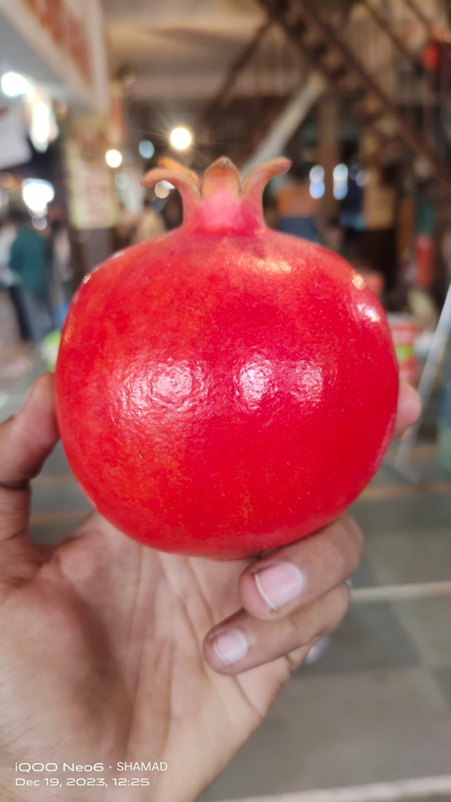 Pomegranate 