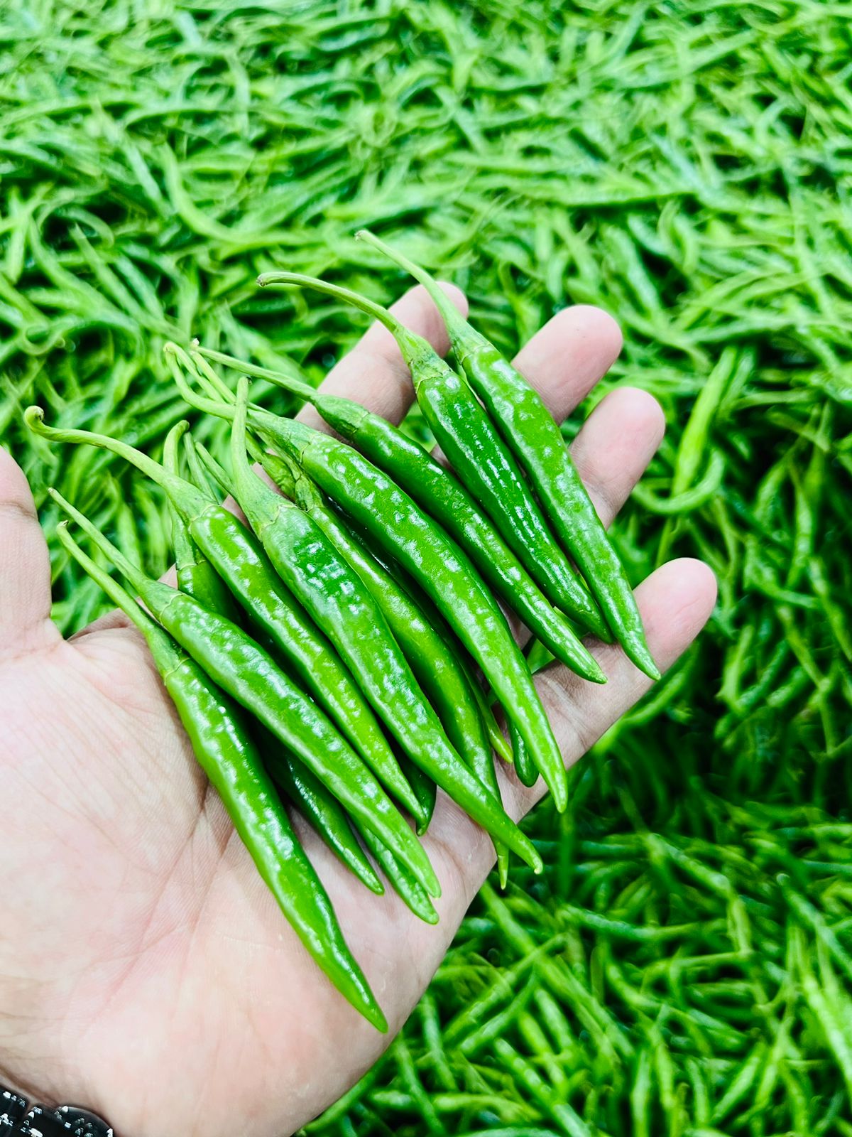 Green Chilli