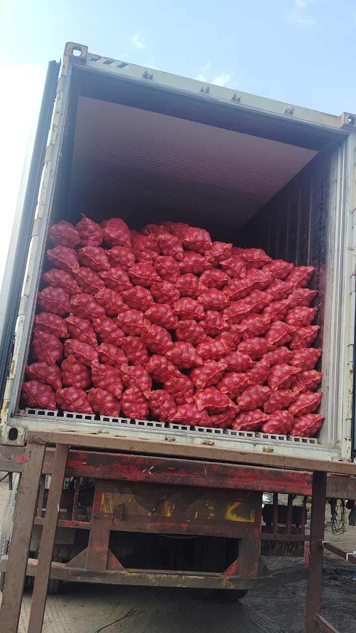 Onions Packaging