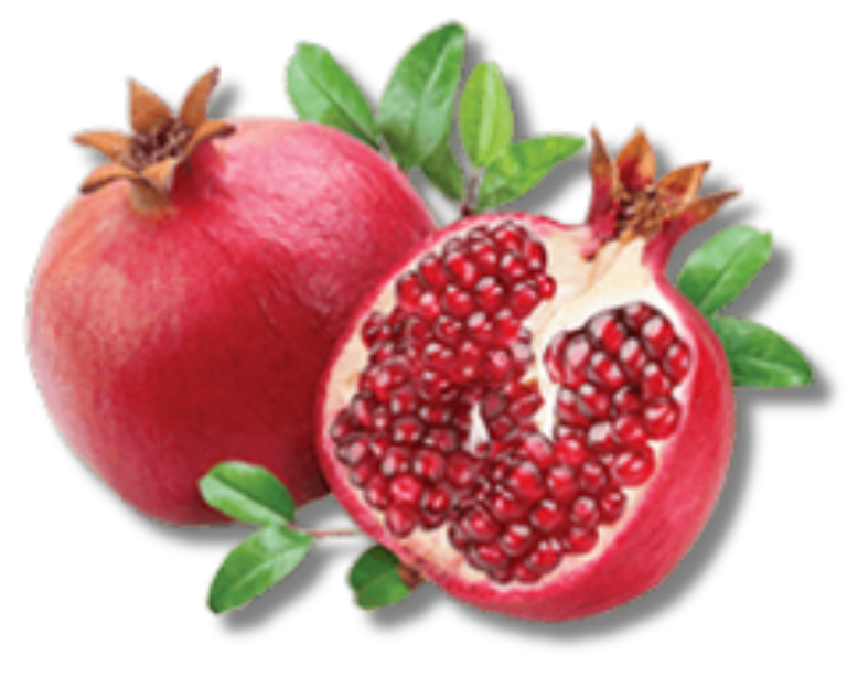 Pome-granate